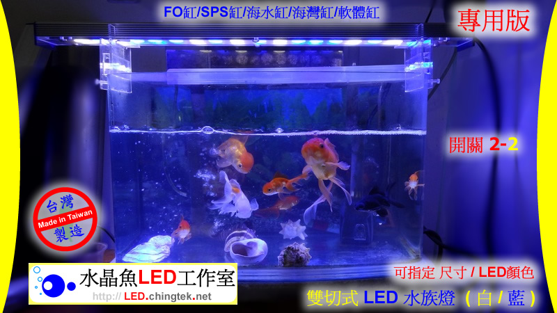雙切式 LED水族燈 - 海水/軟體專用版【水晶魚LED工作室】